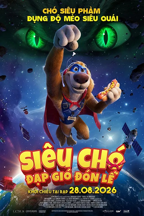 lt-sieu-cho-dap-gio-don-le